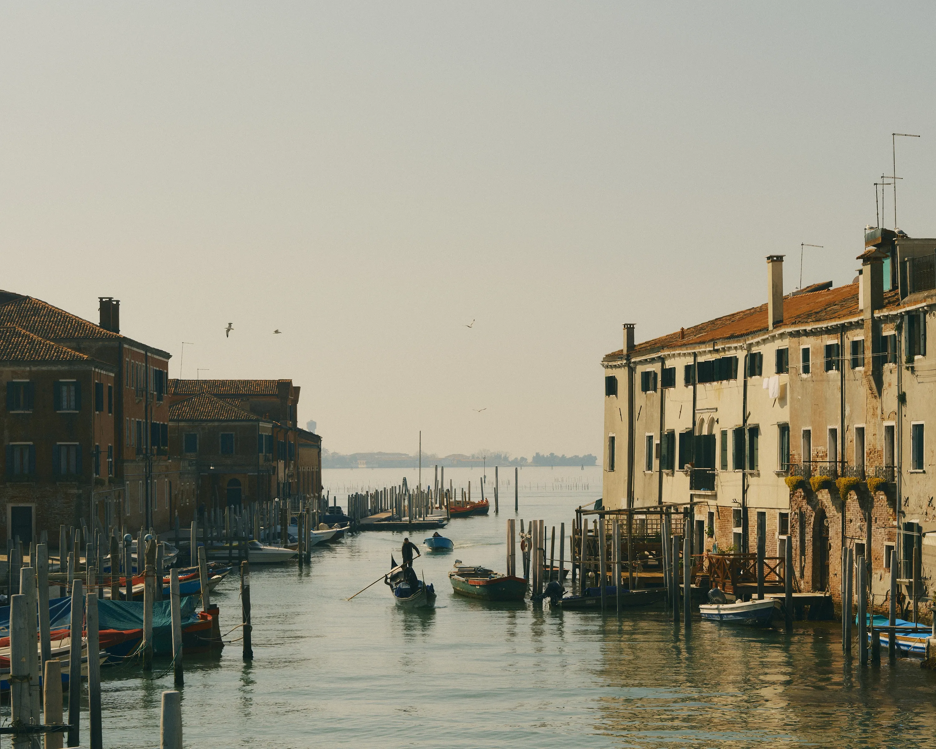 Giudecca Island